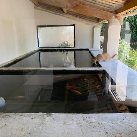 Terre De Lumiere 3 Apartament